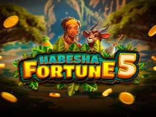 Habesha Fortune 5 screenshot